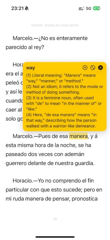 LinguaRead Flashcards — Review with context